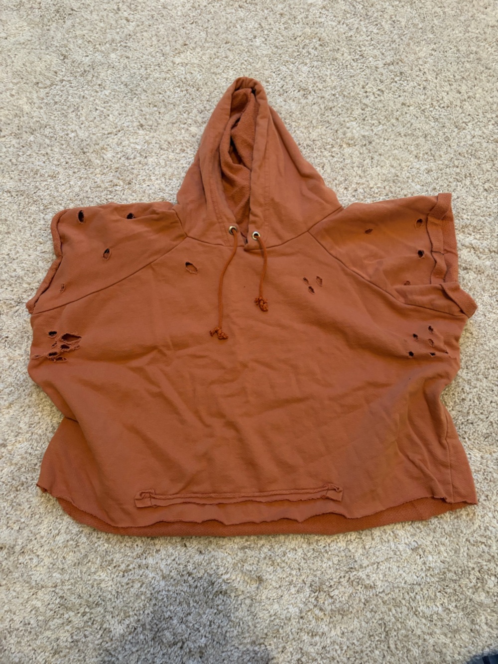 Urban Outfitters Rust Orange Distressed Short Sleeve crop Hoodie